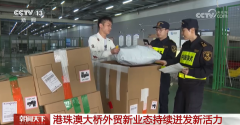 人流车流立异高 外贸新业态成长迅猛 港珠澳大桥