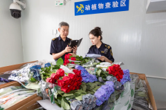 <b>1839万亿元！进口消费品市场盈利加速</b>